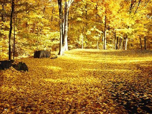 Hotel Edith Macy Conference Center 