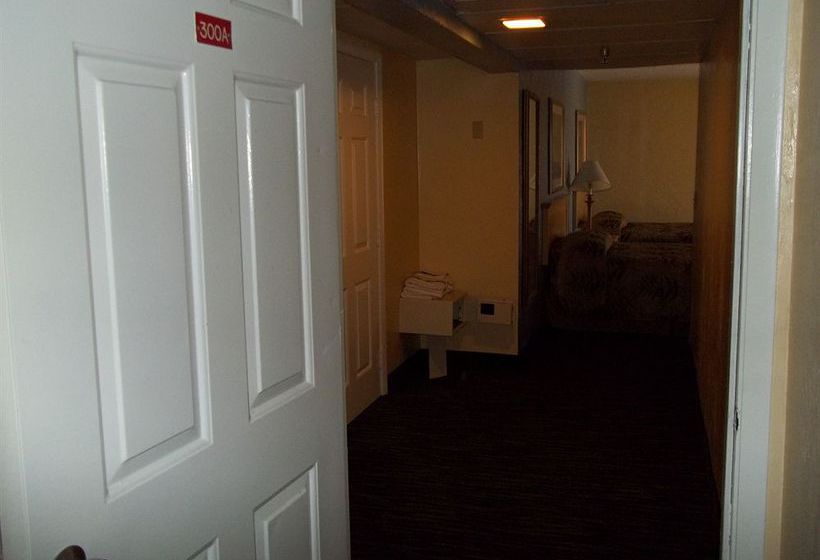 Beachside Motel  | Daytona Beach | Florida | United States 5