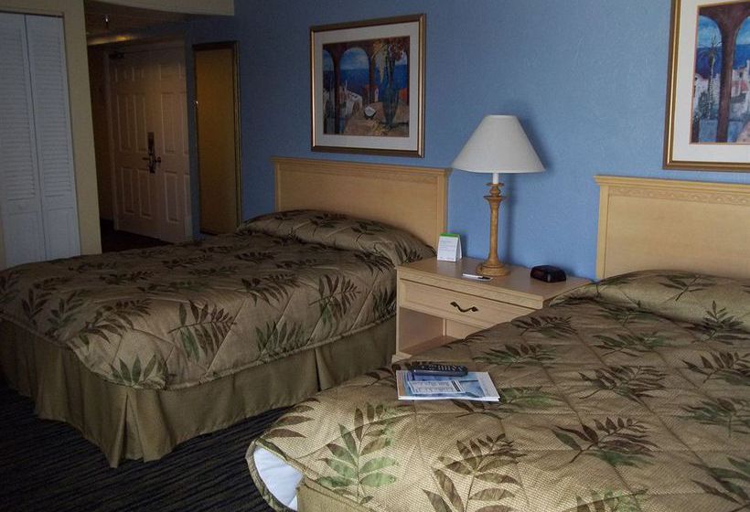 Beachside Motel  | Daytona Beach | Florida | United States 7