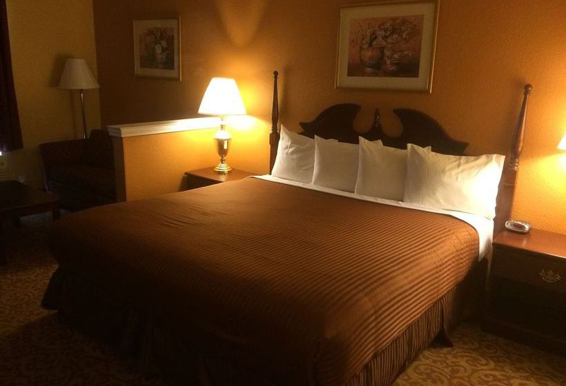 Hotel Luxury Suites Florida