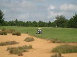 Hotel Superior Holiday Homes  | Clermont | Florida | United States 1