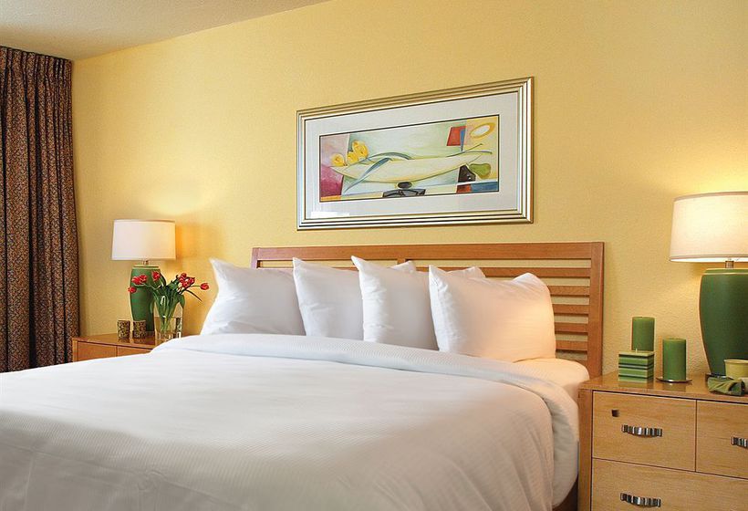 Hotel Solara Surfside Resort  | Surfside | Florida | Hotel negli Stati Uniti 1