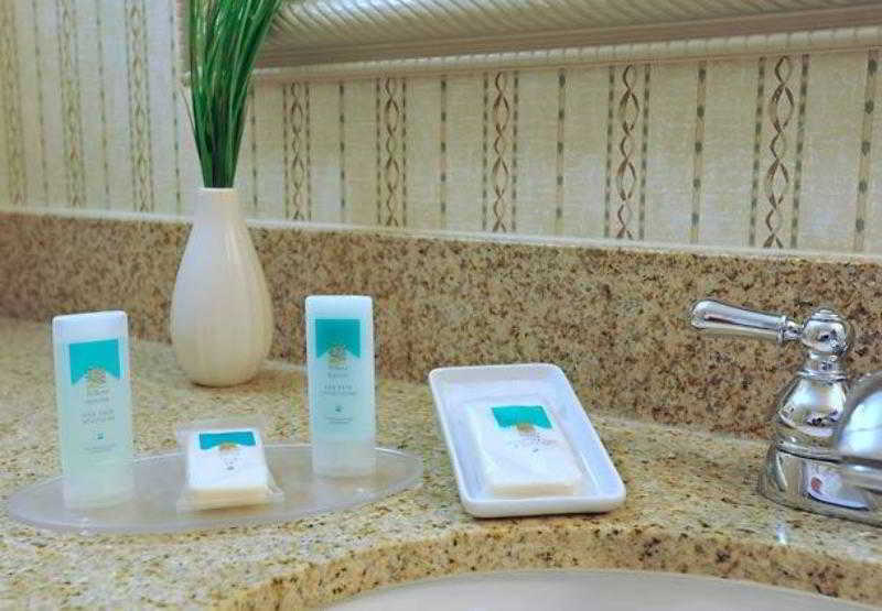 Hotel Springhill Suites By Marriott Jacksonville  | Jacksonville | Florida | United States 19