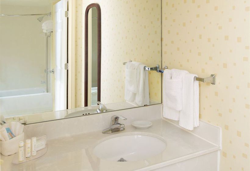 Hotel Springhill Suites By Marriott Jacksonville  | Jacksonville | Florida | United States 8