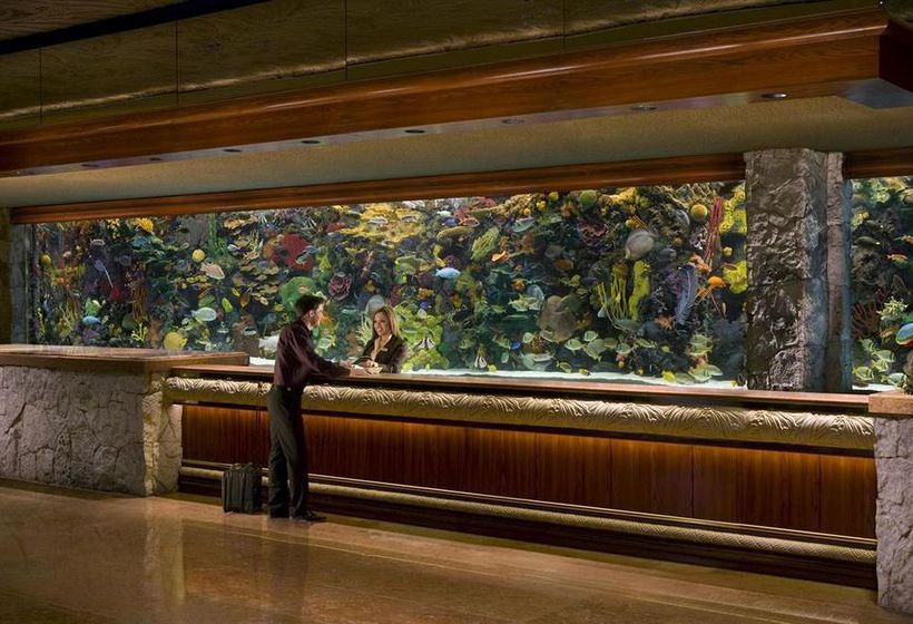 Hotel The Mirage  | Las Vegas | Nevada | United States 2