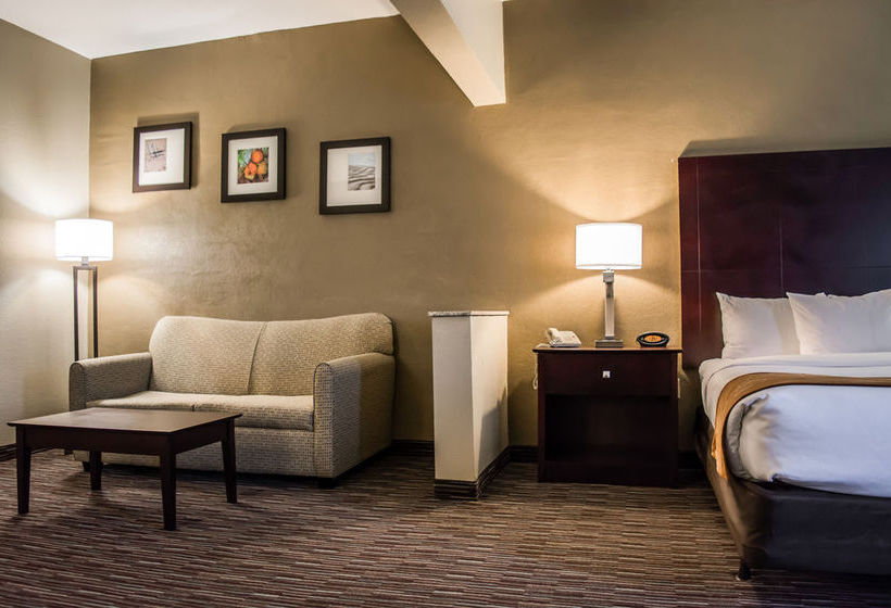 Hôtel Comfort Suites Clearwater Dunedin  | Clearwater | Florida | Hôtels aux États-Unis 11