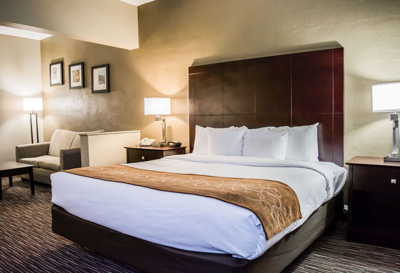 Hôtel Comfort Suites Clearwater Dunedin  | Clearwater | Florida | Hôtels aux États-Unis 12