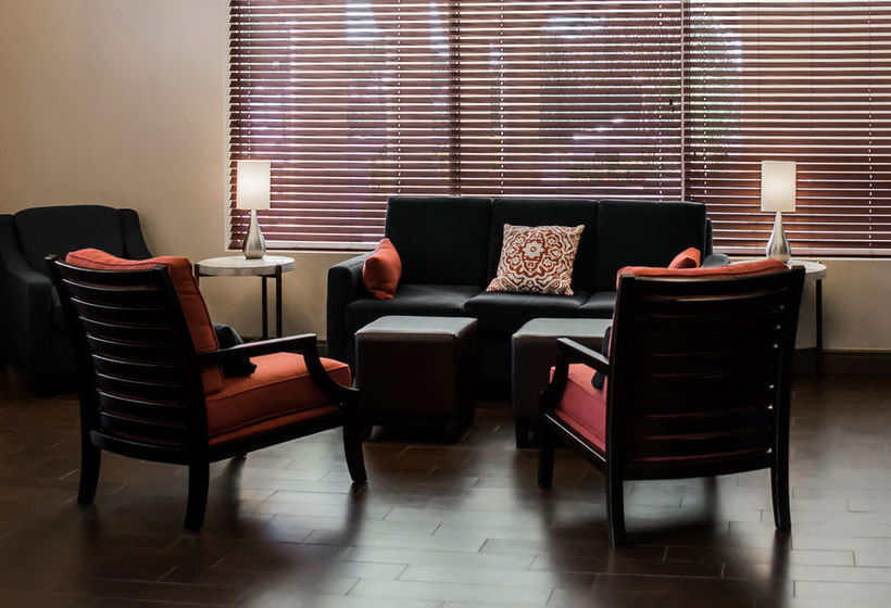 Hôtel Comfort Suites Clearwater Dunedin  | Clearwater | Florida | Hôtels aux États-Unis 14