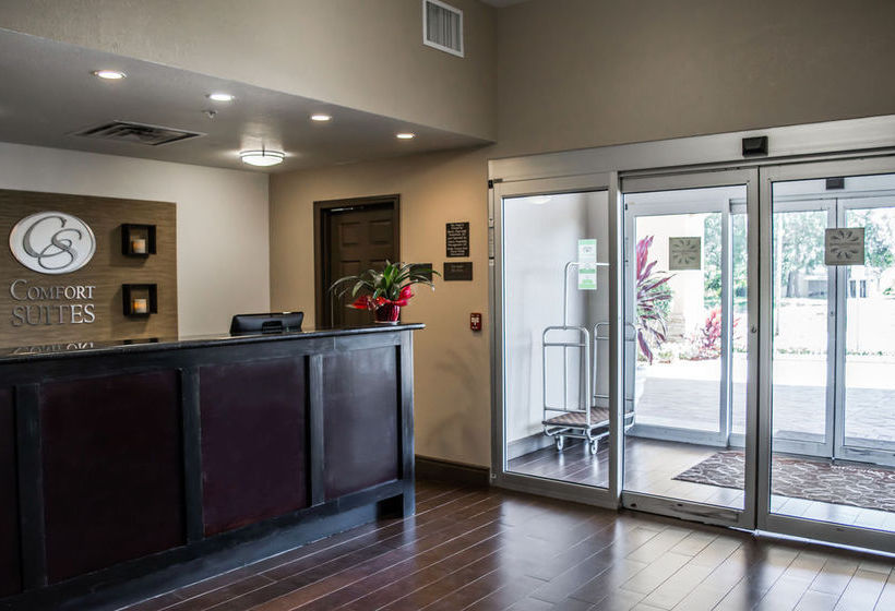 Hôtel Comfort Suites Clearwater Dunedin  | Clearwater | Florida | Hôtels aux États-Unis 15