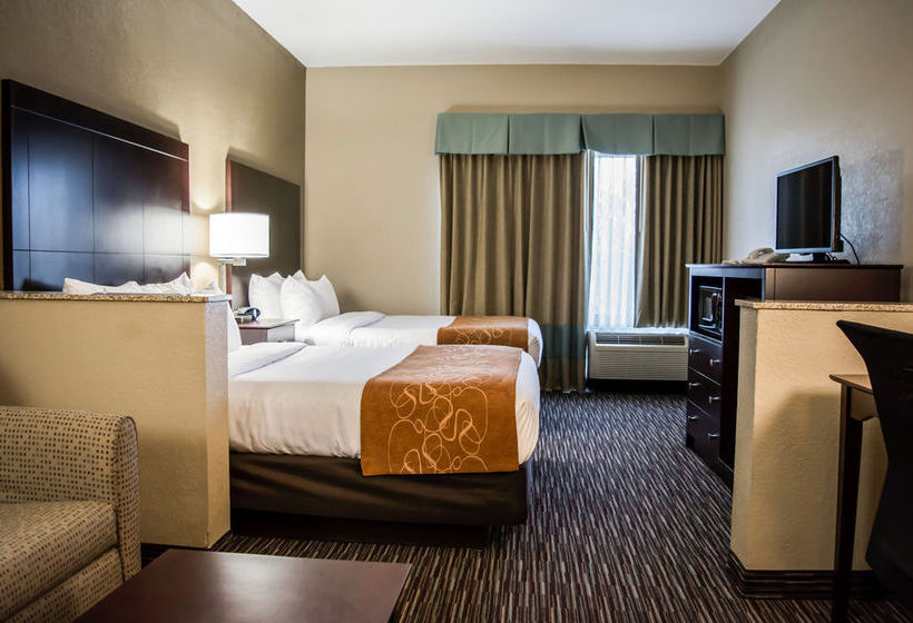 Hôtel Comfort Suites Clearwater Dunedin  | Clearwater | Florida | Hôtels aux États-Unis 20