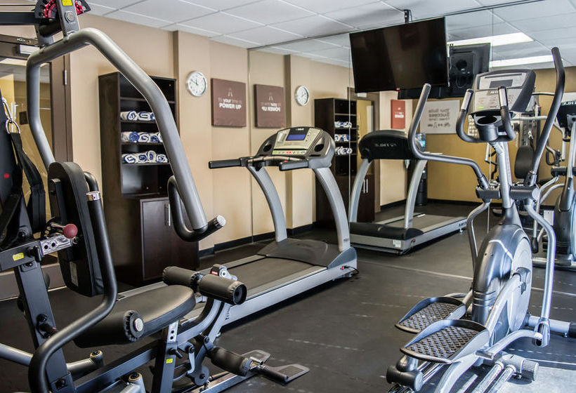 Hôtel Comfort Suites Clearwater Dunedin  | Clearwater | Florida | Hôtels aux États-Unis 8