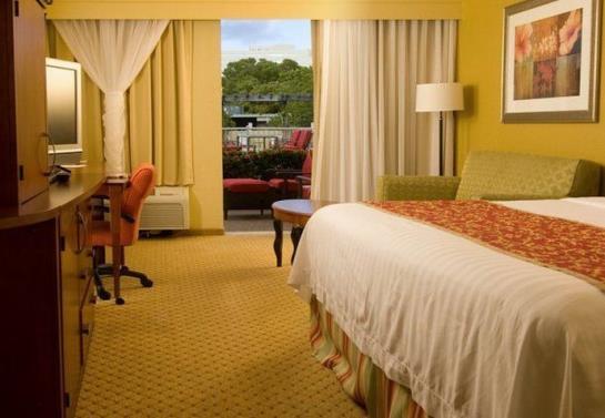 Hotel Courtyard Miami Coral Gables  | Coral Gables | Florida | United States 8