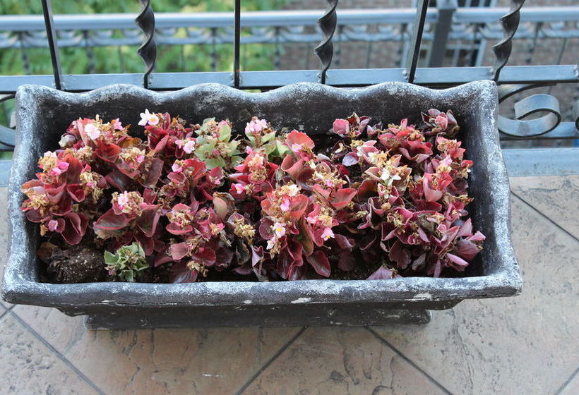 Hotel Blue Moon  | New York | Nueva York | United States 12