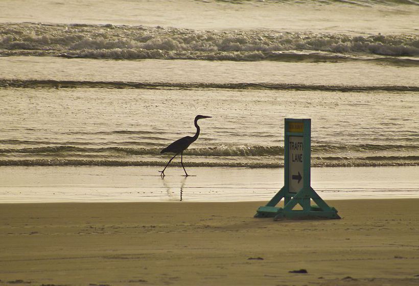 Hotel Makai Lodge  | Ormond Beach | Florida | United States 10