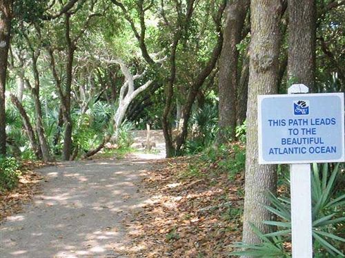 Hotel Ocean Vacation Rentals New Smyrna Beach Florida