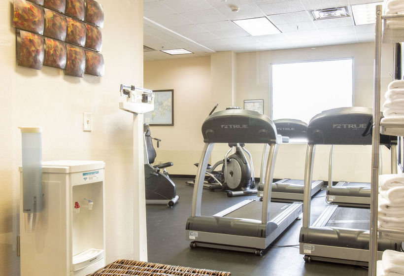 Hotel Holiday Inn Chicago O'Hare Area  | Chicago | Illinois | United States 16