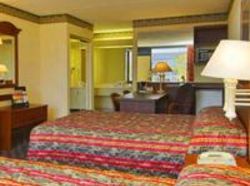 Hotel Howard Johnson Inn & Suites Clearwater  | Clearwater | Florida | United States 3