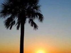 Hotel Howard Johnson Inn & Suites Clearwater  | Clearwater | Florida | United States 8