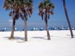 Hotel Howard Johnson Inn & Suites Clearwater  | Clearwater | Florida | United States 9