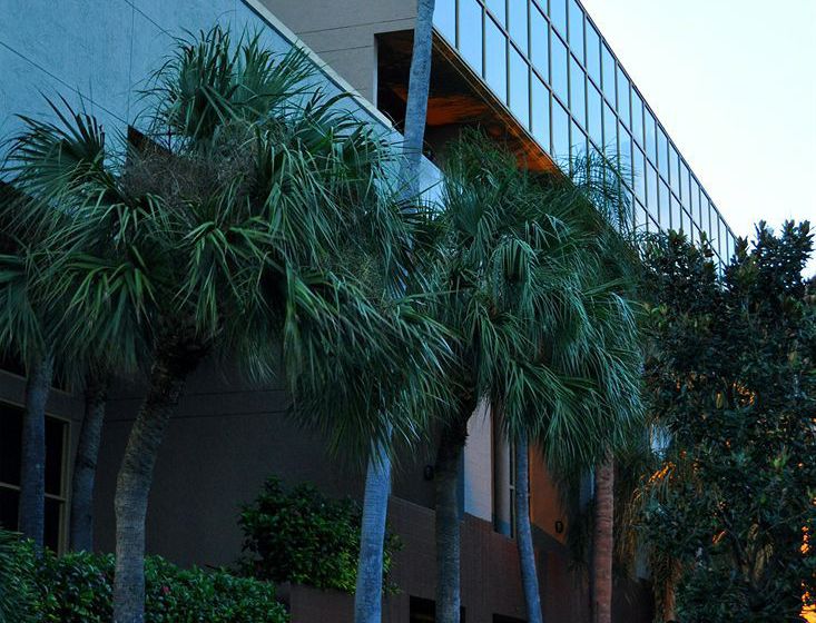 Hotel Sawgrass Grand  | Sunrise | Florida | Estados Unidos 10