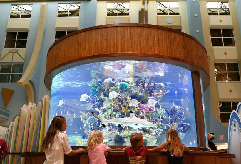 Hotel Four Points by Sheraton Cocoa Beach  | Cocoa Beach | Florida | United States 13