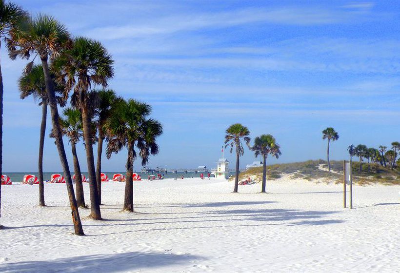 Hotel Pelican Pointe  | Clearwater | Florida | United States 10