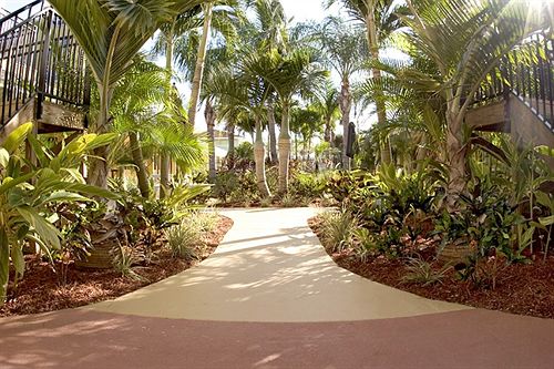 Hotel Isis  | North Redington Beach | Florida | United States 5