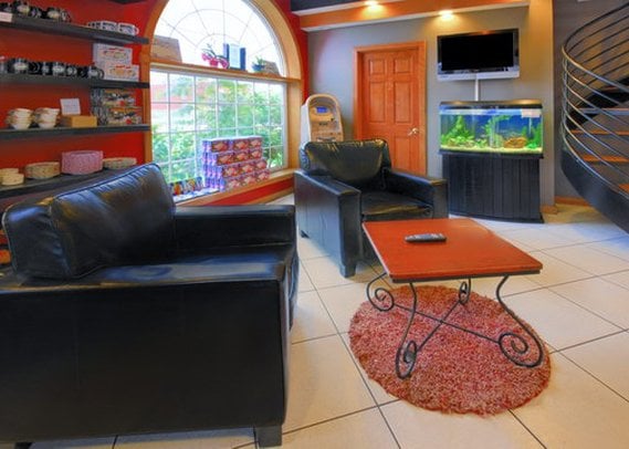 Hotel Econo Lodge At The Falls North  | Niagara Falls | Nueva York | United States 5