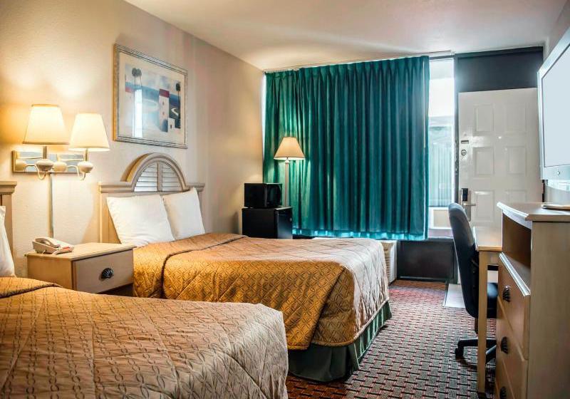 Hotel Econo Lodge  | New Port Richey | Florida | United States 12