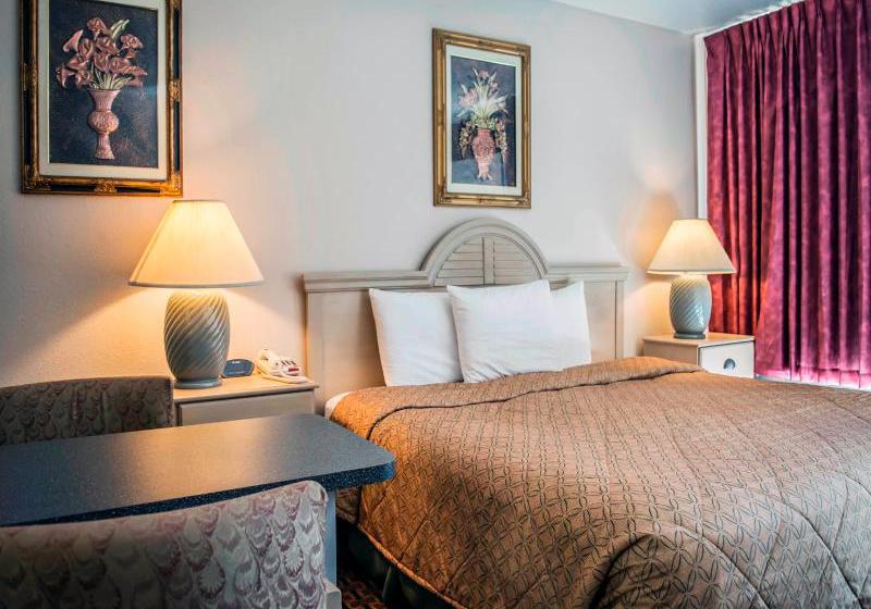 Hotel Econo Lodge  | New Port Richey | Florida | United States 4