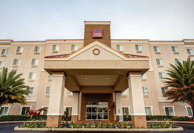Hotel Comfort Suites Ocala  | Ocala | Florida | United States 10