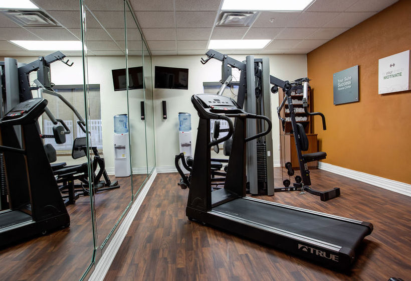 Hotel Comfort Suites Ocala  | Ocala | Florida | United States 12