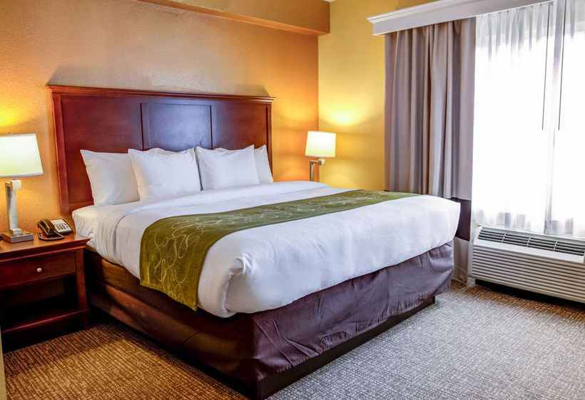 Hotel Comfort Suites Ocala  | Ocala | Florida | United States 15
