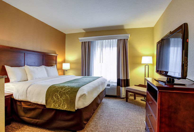 Hotel Comfort Suites Ocala  | Ocala | Florida | United States 19