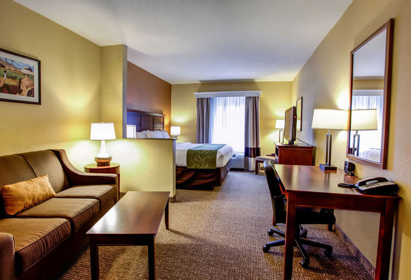 Hotel Comfort Suites Ocala  | Ocala | Florida | United States 20