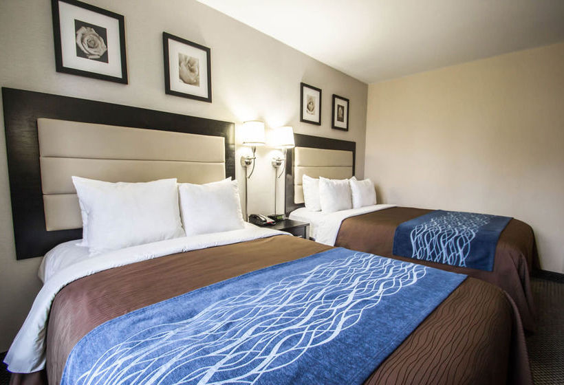 Hotel Comfort Inn Times Square South Area   | New York | Nueva York | United States 13