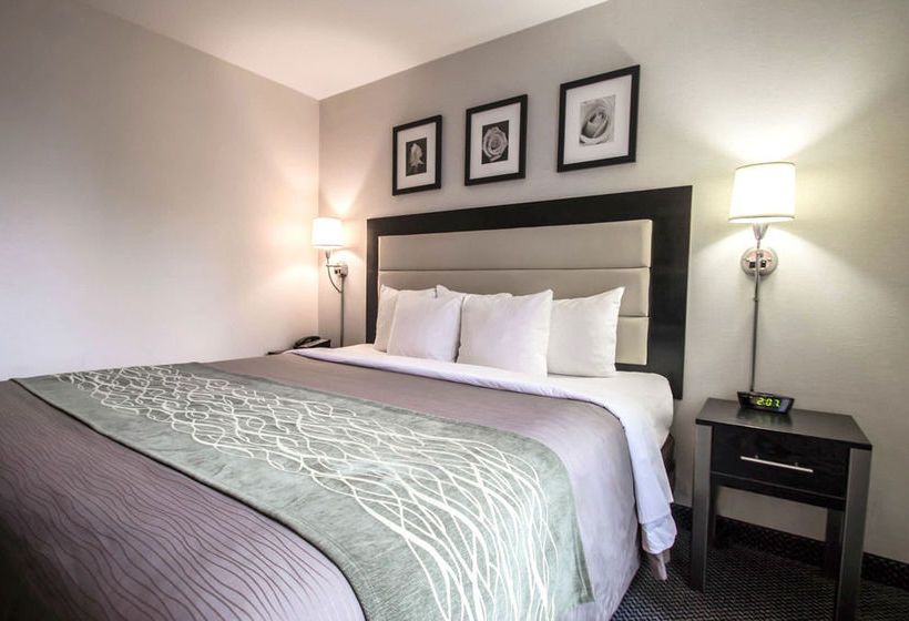 Hotel Comfort Inn Times Square South Area   | New York | Nueva York | United States 16