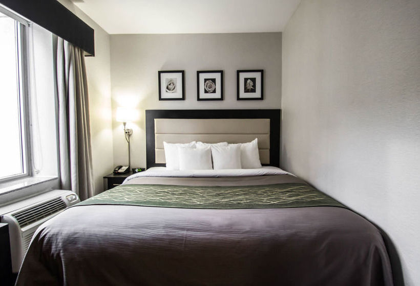 Hotel Comfort Inn Times Square South Area   | New York | Nueva York | United States 20