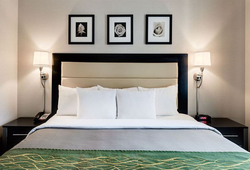 Hotel Comfort Inn Times Square South Area   | New York | Nueva York | United States 5