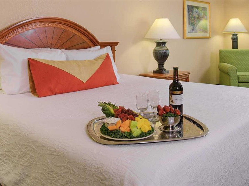 Hotel Hilton Garden Inn Tampa North 