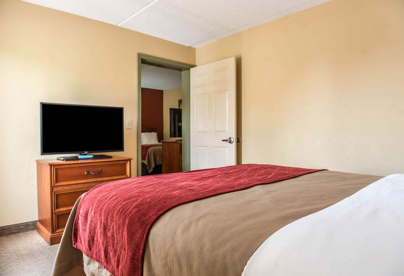 Hotel Comfort Inn & Suites Panama City  | Panama City | Florida | United States 14