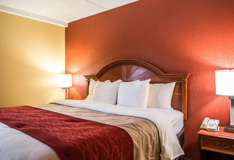 Hotel Comfort Inn & Suites Panama City  | Panama City | Florida | United States 17