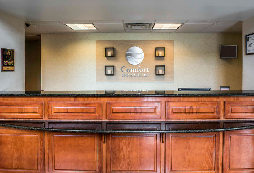 Hotel Comfort Inn & Suites Panama City  | Panama City | Florida | United States 4