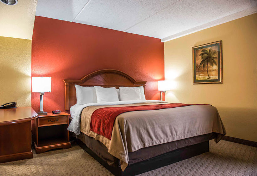 Hotel Comfort Inn & Suites Panama City  | Panama City | Florida | United States 6