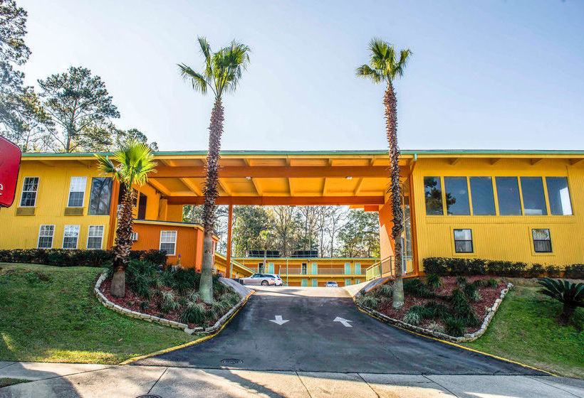 Hotel Econo Lodge Tallahassee  | Tallahassee | Florida | United States 7