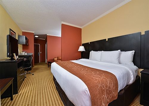 Hotel Comfort Suites Panama City  | Panama City | Florida | United States 18