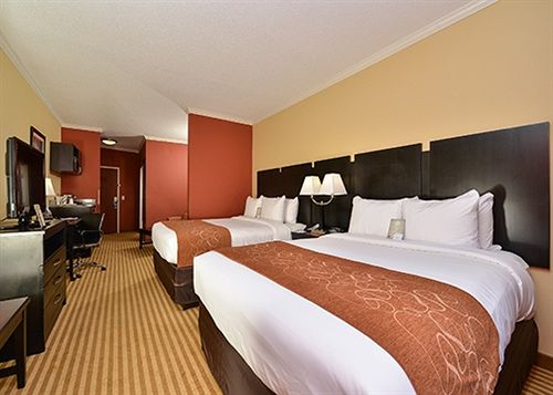 Hotel Comfort Suites Panama City  | Panama City | Florida | United States 6