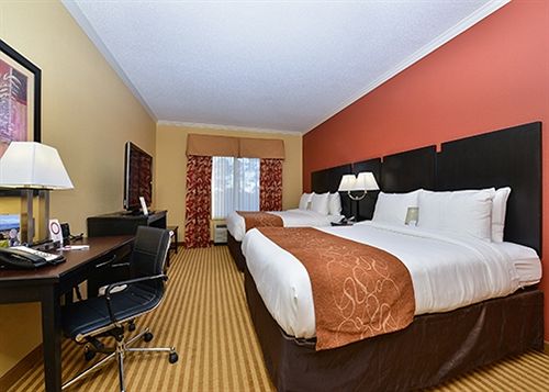 Hotel Comfort Suites Panama City  | Panama City | Florida | United States 7