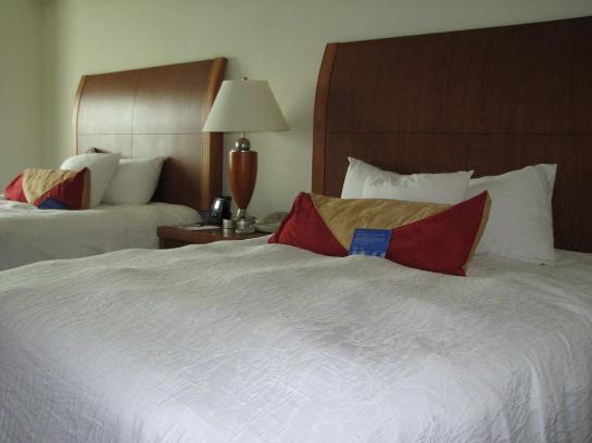 Hotel Hilton Garden Inn Ithaca  | Ithaca | Nueva York | Hotel negli Stati Uniti 14