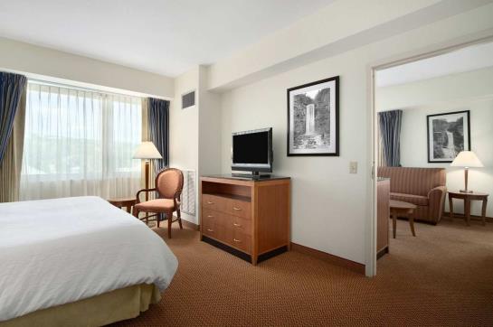 Hotel Hilton Garden Inn Ithaca  | Ithaca | Nueva York | Hotel negli Stati Uniti 5